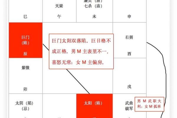 紫微斗数诸星落诸宫之：天相星官禄宫详解