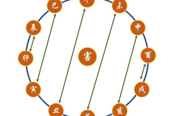 八字巳巳亥