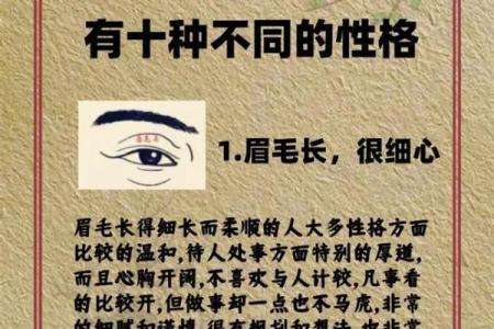 面相风水女人十大富贵眉毛你有吗