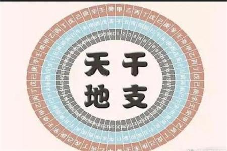 八字看天干