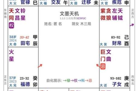 紫薇斗数生年自化