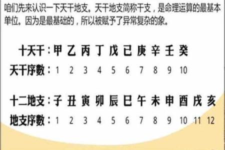 怎的八字