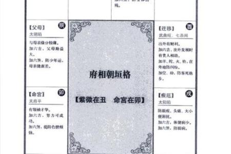 紫薇斗数中什么叫同度