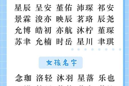 属鸡申时出生的男孩该如何起名，宜用什么字姓名