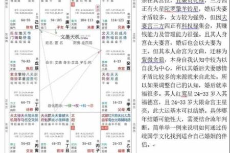 紫薇斗数男性篇