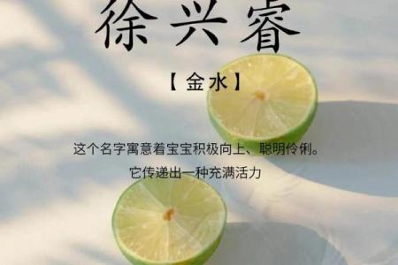 2019年出生的姓徐男孩如何起名，宜用什么字姓名