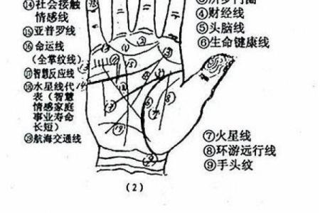 手相“影响线”算命图解