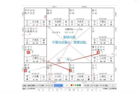 河洛派紫薇斗数
