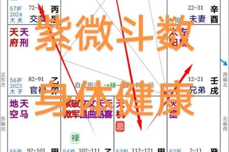 紫薇斗数看配偶迁移宫