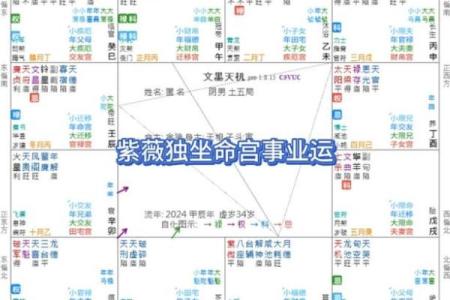 紫薇斗数独坐相会