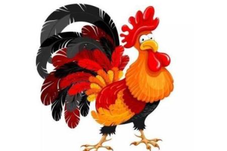 今年运势算命属鸡男