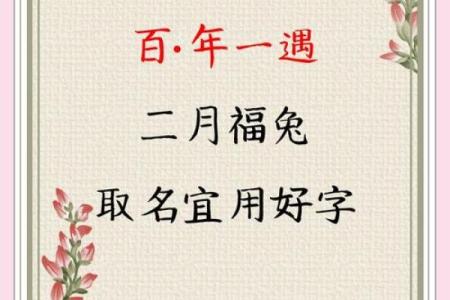 给属兔巳时出生的男孩起名宜用什么字姓名