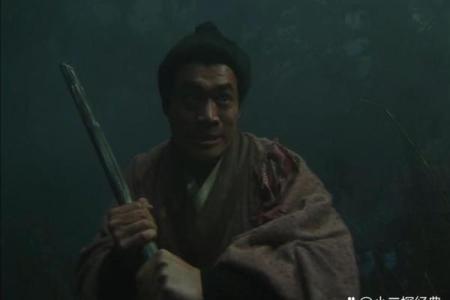 武松紫微斗数 武松之子？