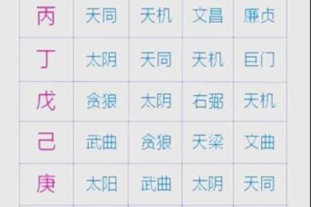 紫薇斗数专业名词