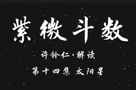 博士紫薇斗数