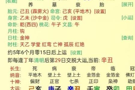 八字财星透