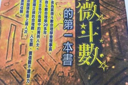 紫薇斗数原版白话书