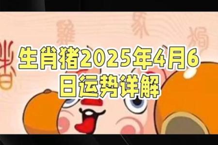 属猪算命,属猪人运程