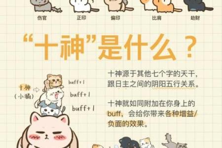 八字与十神