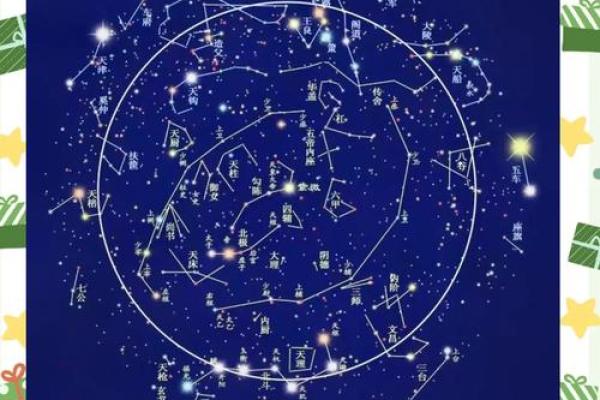 紫薇星北极星是什么龙