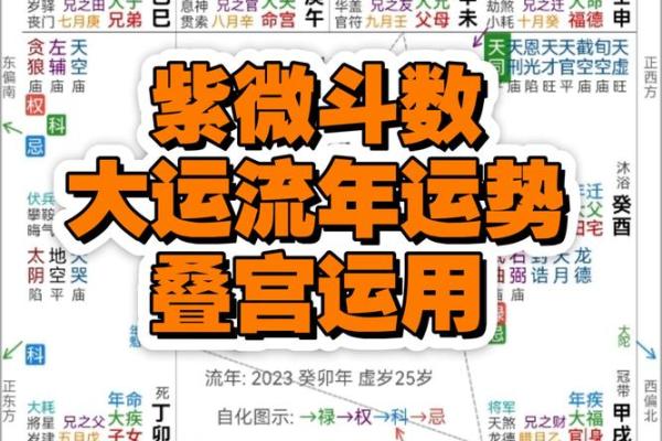 紫薇斗数看学业流年