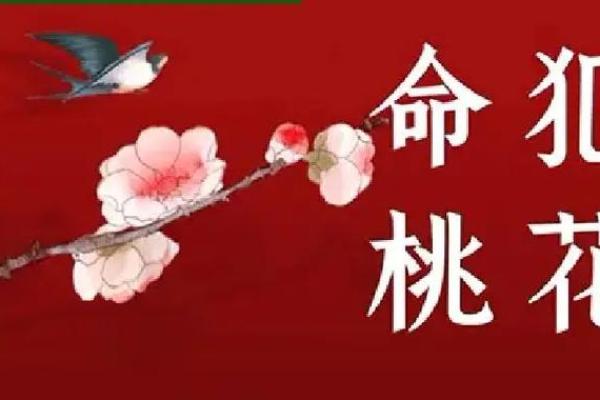 八字算命:命犯桃花八字,桃花劫八字,桃花入命分析 八字算命:命犯桃花八字,桃花劫八字,桃花入命分析