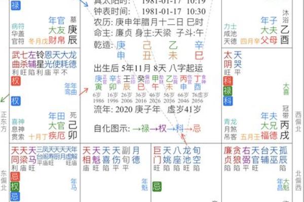紫薇斗数算晚年