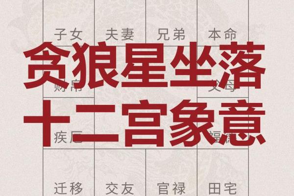 紫薇斗数迁移宫贪狼