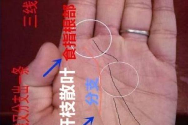 手相算命，从手相看你聪明度有多高？