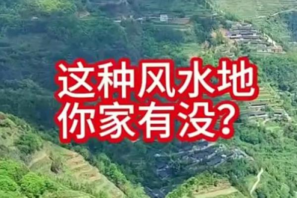 看看你家有没有出现这几种风水