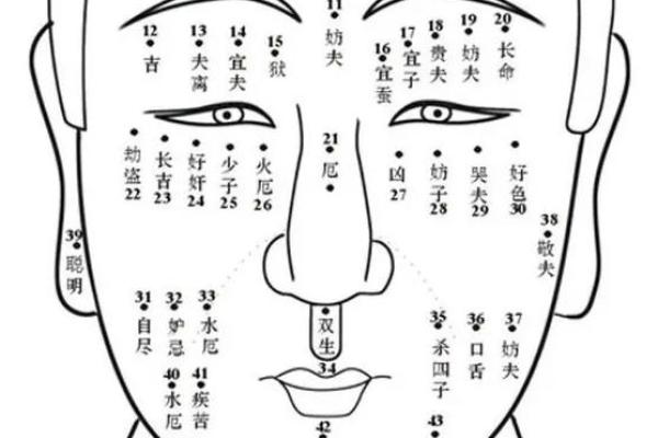 面相额头痣相图解算命