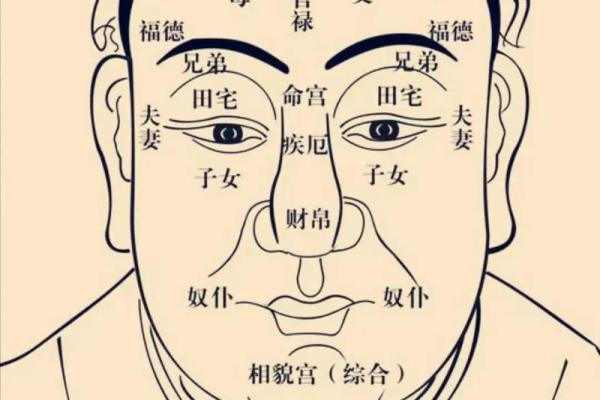 简单看紫薇斗数