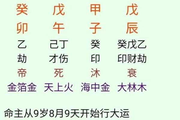 元亨八字排盘,新浪八字命盘查询