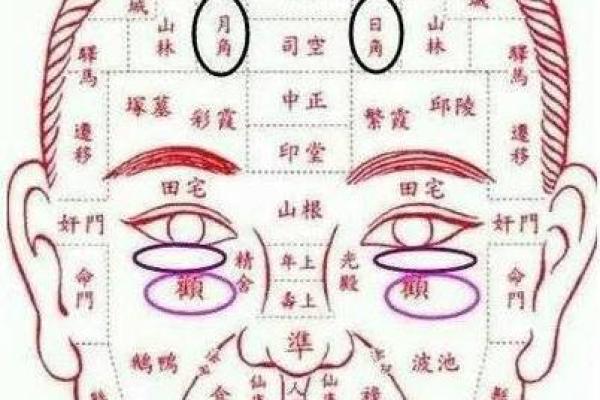 面相解析：从山根看相算命