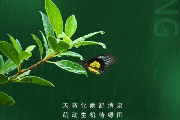 明天雨水，要谨防节气风水禁忌