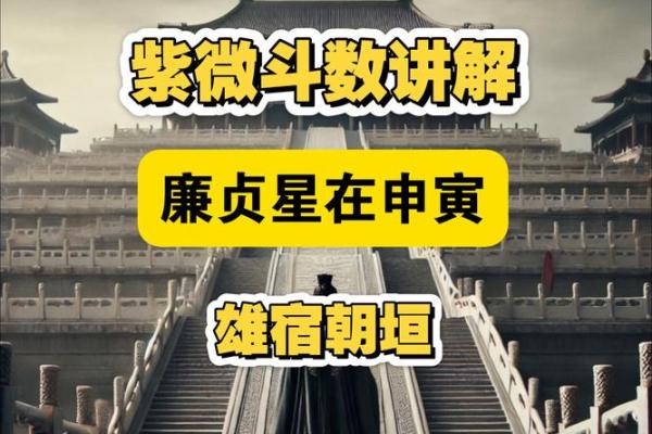 紫微斗数廉贞化气 紫微斗数廉贞化禄？