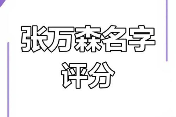 名字测分打分免费测试