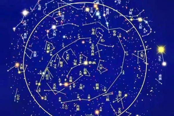 紫薇斗数太阴禄存