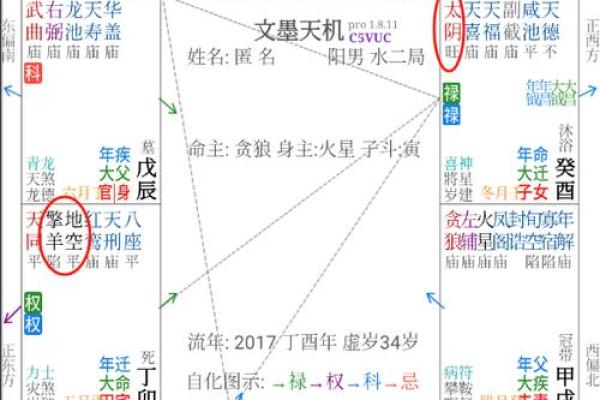 紫薇斗数太阴禄存