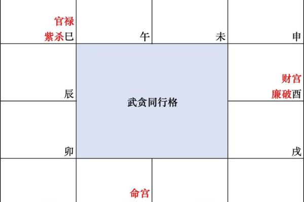 紫薇斗数武贪格