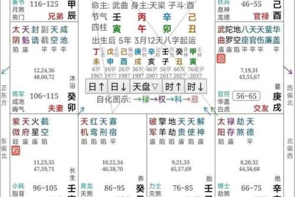 关于紫薇斗数软件安卓破解版的信息