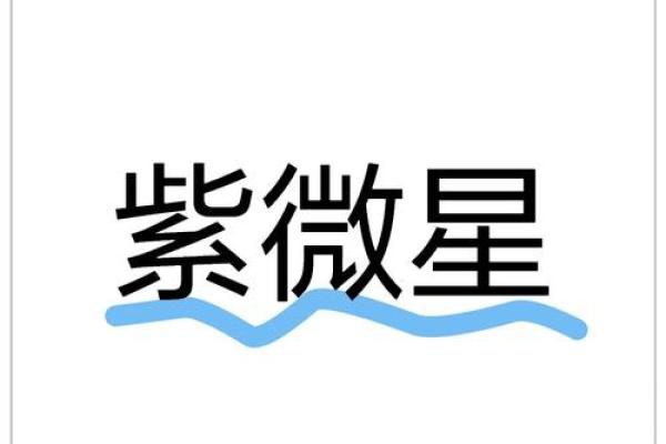 孤独的君王紫薇斗数