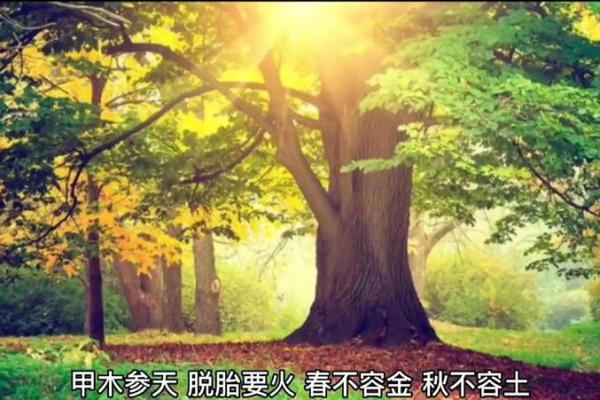 八字水土