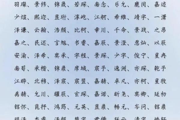 2019年4月13号丑时出生的男孩应该起什么样的名字姓名