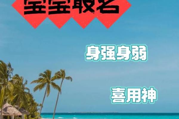婴儿八字