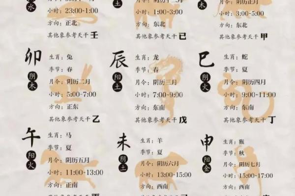 八字十二地支的五行属性