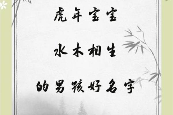 2019年6月10号寅时出生的男孩起名时要注意什么姓名