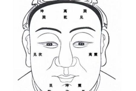 有关印堂面相算命图解