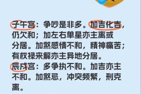 紫微斗数之夫妻宫与诸星,武曲星在夫妻宫是什么意思？
