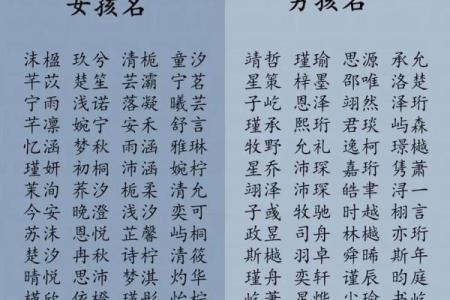 取名字大全生辰八字